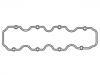 Valve Cover Gasket:06 38 733